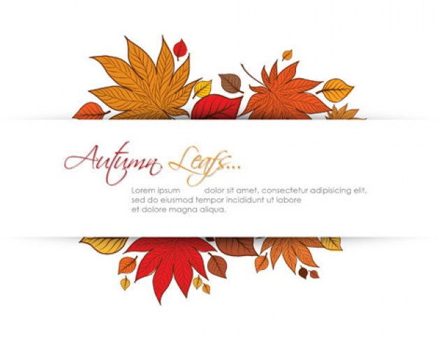 Lorem ipsum retro Graphic design style autumn leafs frames about Cicero Arts
